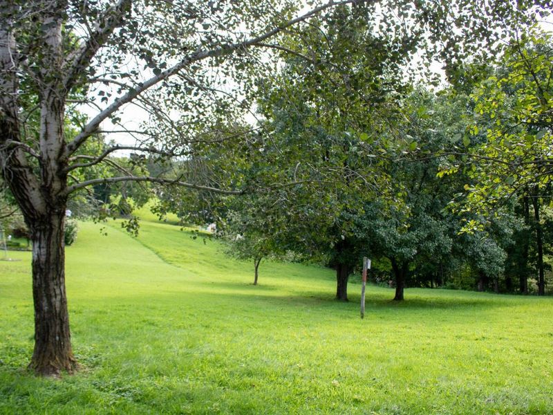 61691 Wintergreen Road, Lore City, OH 43755 Photo 41