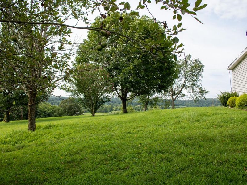 61691 Wintergreen Road, Lore City, OH 43755 Photo 42