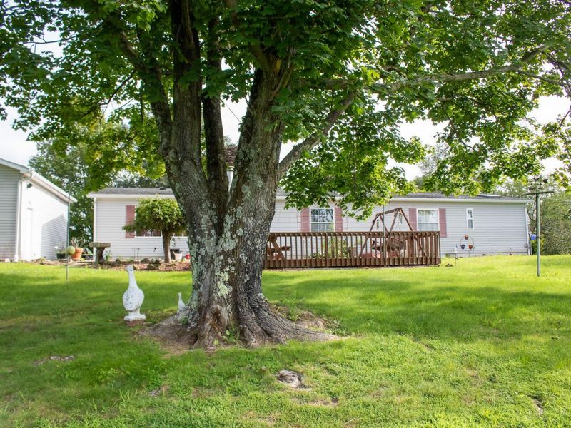 61691 Wintergreen Road, Lore City, OH 43755 Photo 44