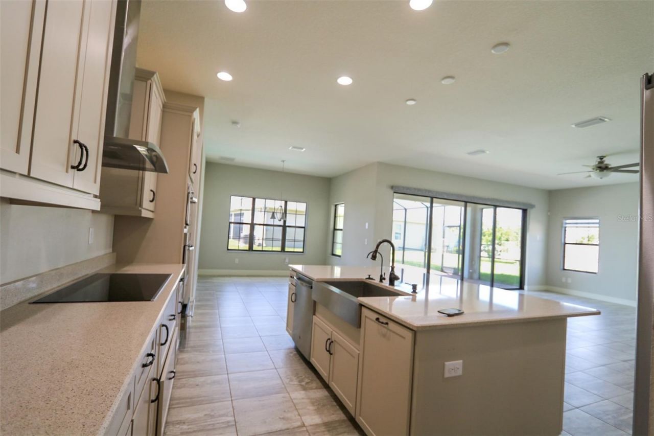 11978 Climbing Fern Avenue, Riverview, FL 33579 Photo