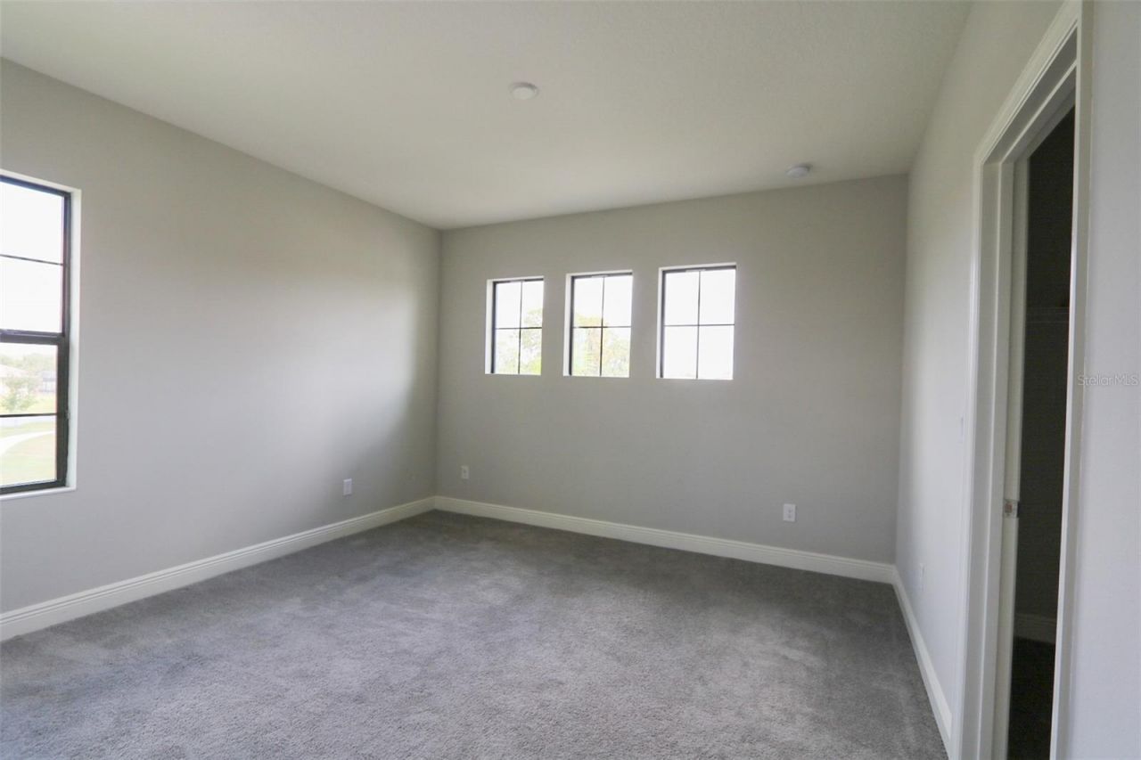 11978 Climbing Fern Avenue, Riverview, FL 33579 Photo