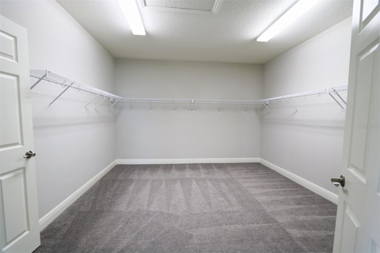 11978 Climbing Fern Avenue, Riverview, FL 33579 Photo