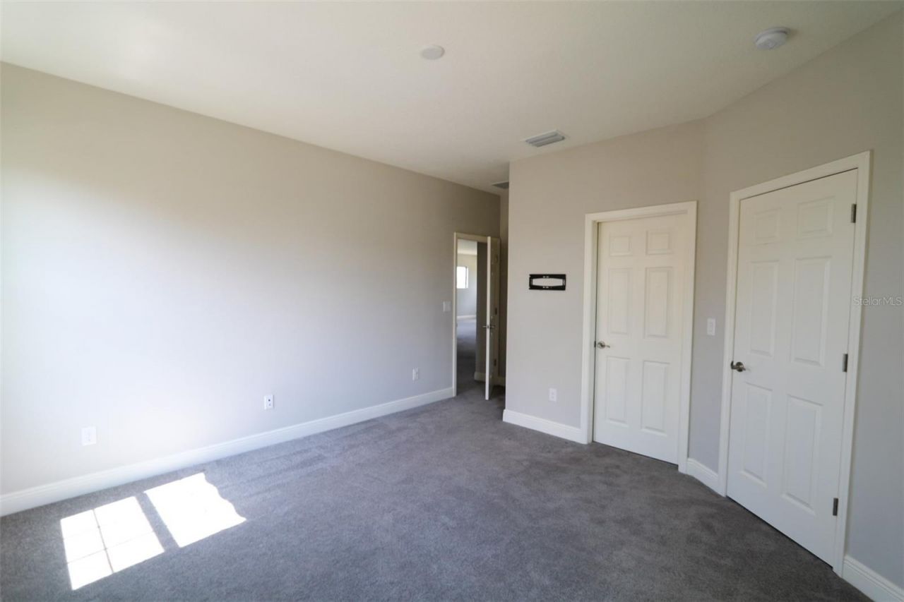 11978 Climbing Fern Avenue, Riverview, FL 33579 Photo