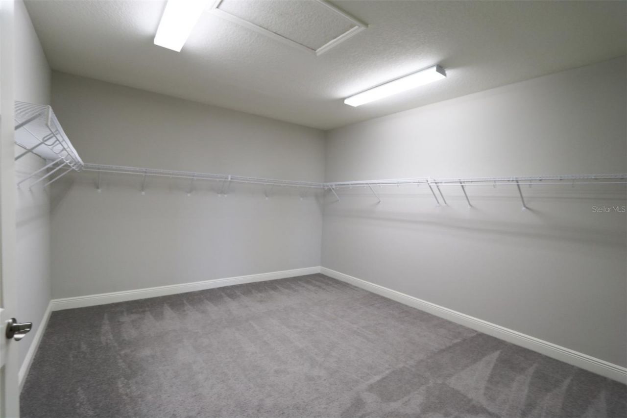 11978 Climbing Fern Avenue, Riverview, FL 33579 Photo