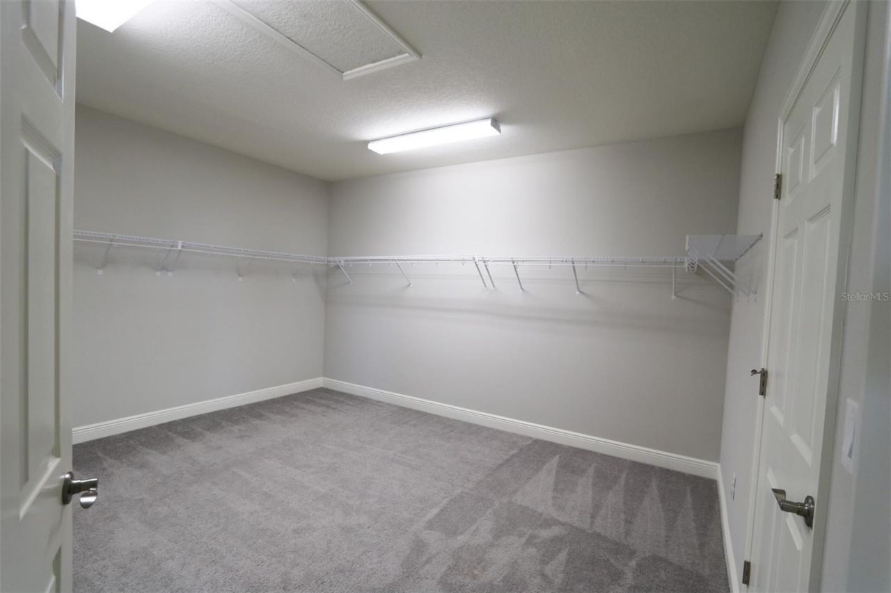 11978 Climbing Fern Avenue, Riverview, FL 33579 Photo