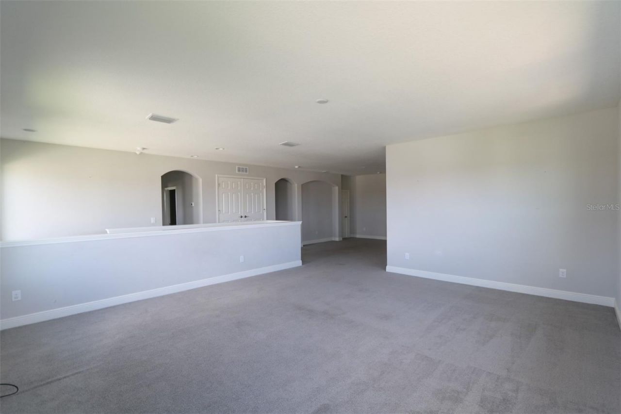 11978 Climbing Fern Avenue, Riverview, FL 33579 Photo