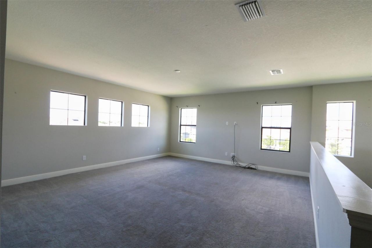 11978 Climbing Fern Avenue, Riverview, FL 33579 Photo