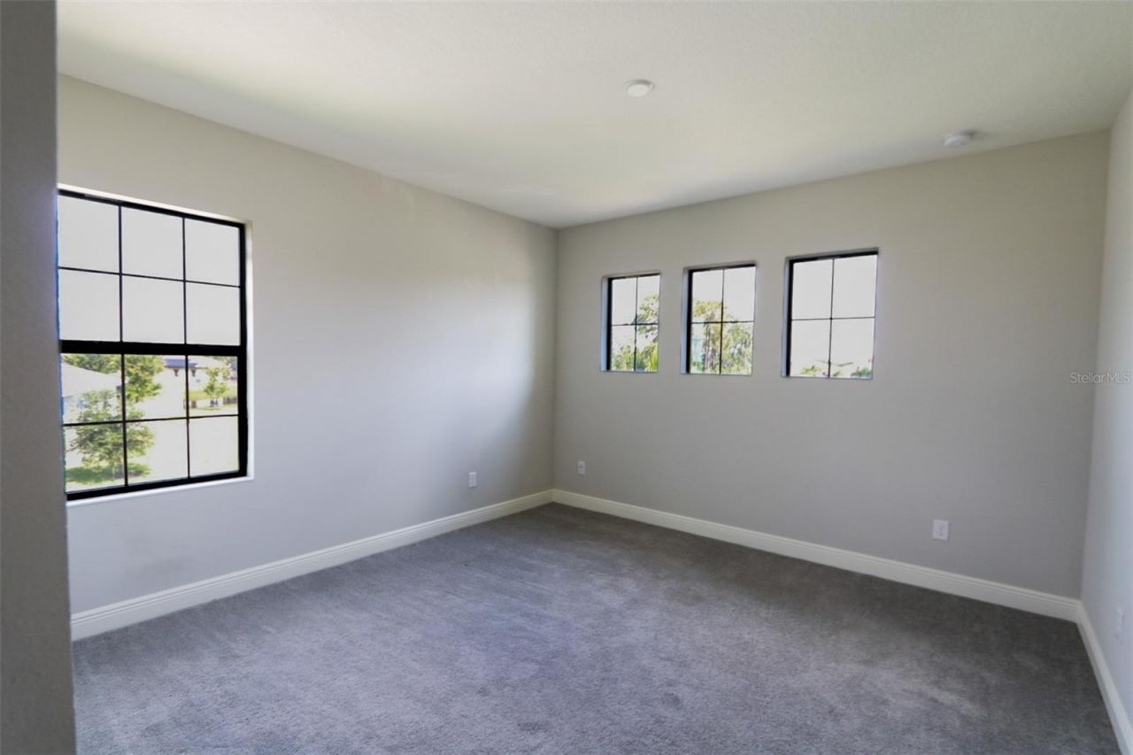 11978 Climbing Fern Avenue, Riverview, FL 33579 Photo