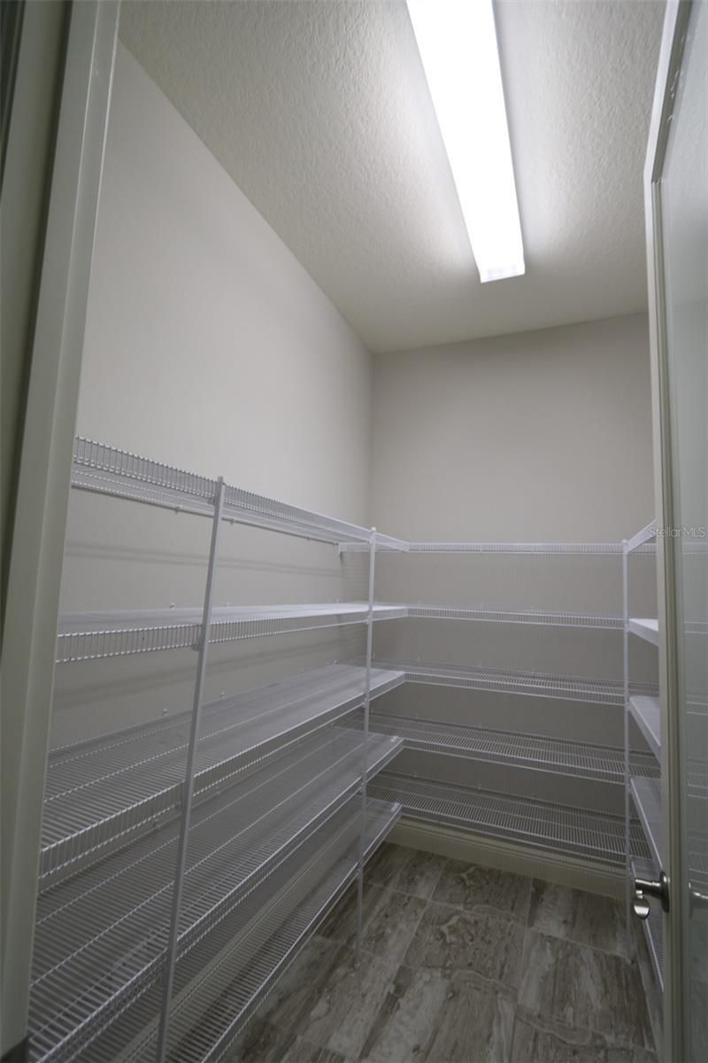 11978 Climbing Fern Avenue, Riverview, FL 33579 Photo