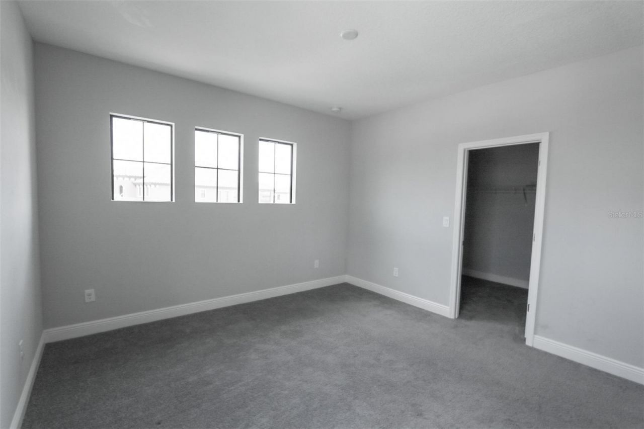 11978 Climbing Fern Avenue, Riverview, FL 33579 Photo