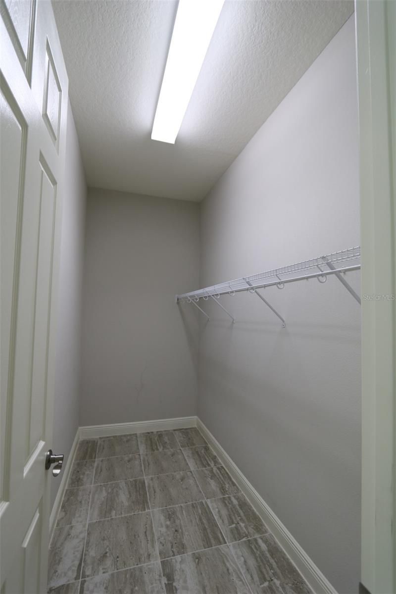 11978 Climbing Fern Avenue, Riverview, FL 33579 Photo