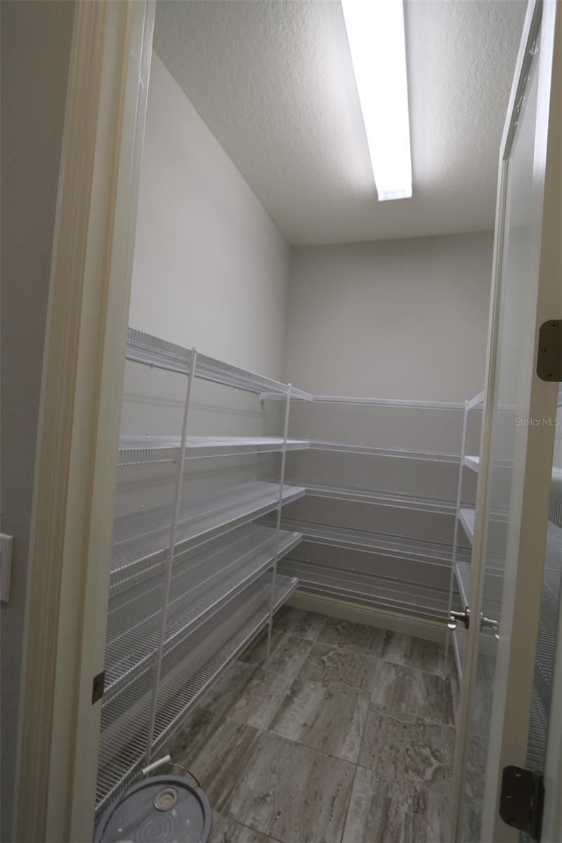 11978 Climbing Fern Avenue, Riverview, FL 33579 Photo