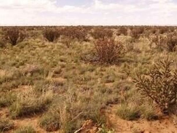 33rd Avenue NW, Rio Rancho, NM 87144