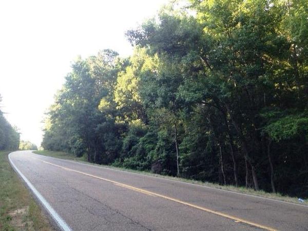 Parcel 4 Highway 98, Meadville, MS 39653