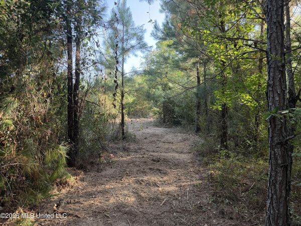 Tbd Hwy 570, Summit, MS 39666