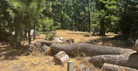 15574 Hinton Rd, Pioneer, CA 95666 Photo