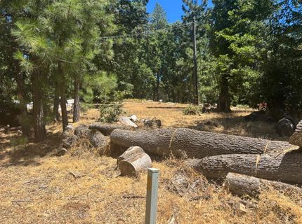 15574 Hinton Rd, Pioneer, CA 95666 Photo