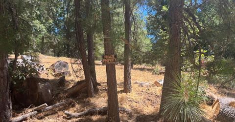 15574 Hinton Rd, Pioneer, CA 95666 Photo