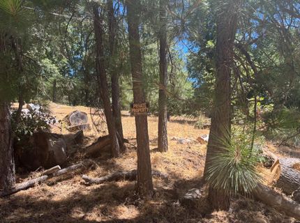 15574 Hinton Rd, Pioneer, CA 95666 Photo