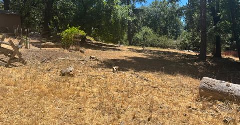 15574 Hinton Rd, Pioneer, CA 95666 Photo