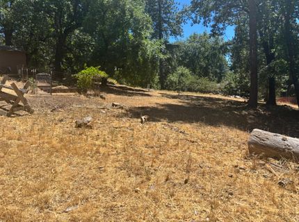 15574 Hinton Rd, Pioneer, CA 95666 Photo