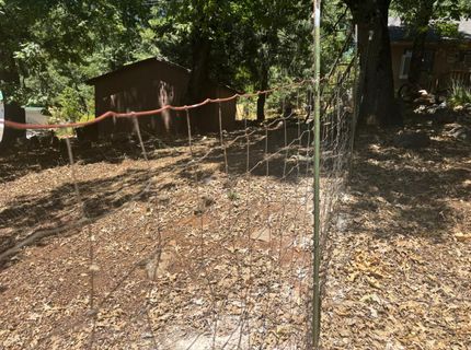 15574 Hinton Rd, Pioneer, CA 95666 Photo