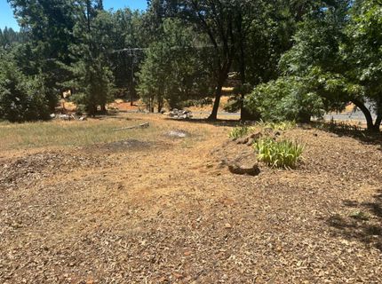 15574 Hinton Rd, Pioneer, CA 95666 Photo