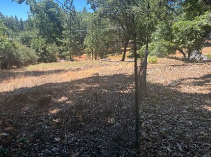 15574 Hinton Rd, Pioneer, CA 95666 Photo