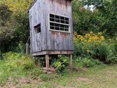 4101 Hopkins Road, Kennedy, NY 14747