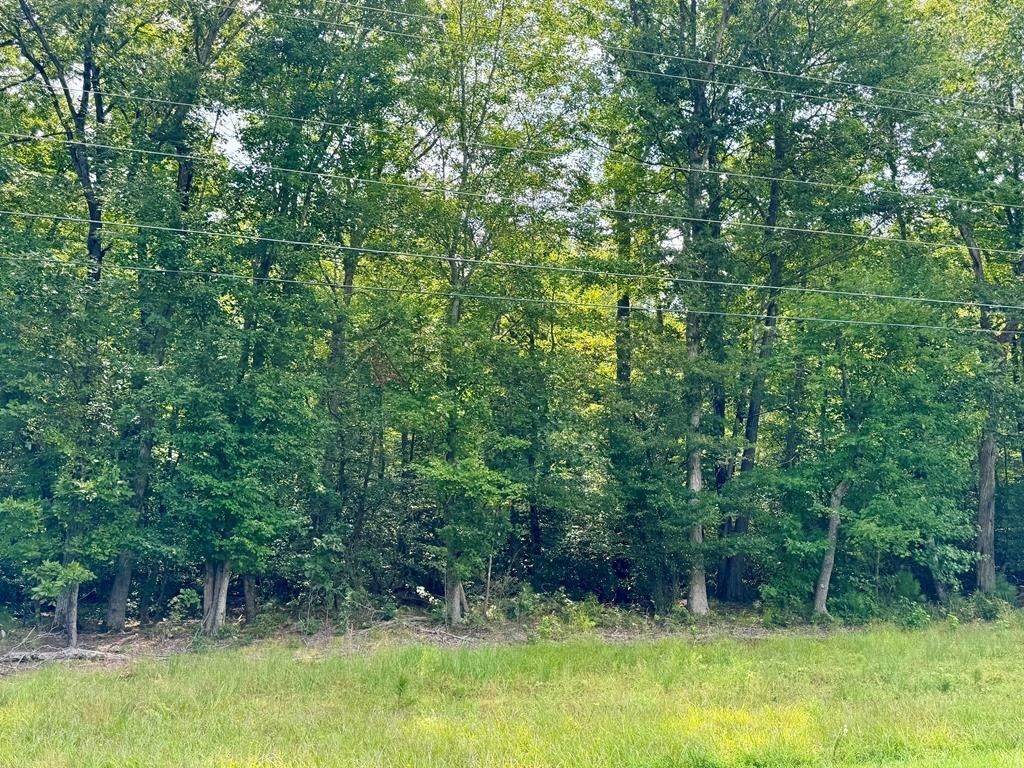 Lot 18 Bay Quarter Road, Heathsville, VA 22473 Main Photo