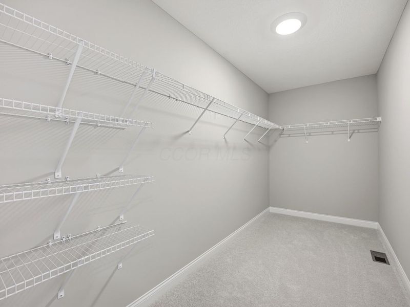 280 River Birch Drive, Galena, OH 43021 Photo 27