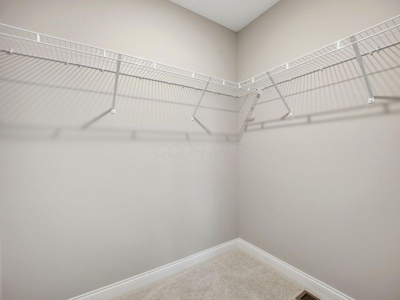 280 River Birch Drive, Galena, OH 43021 Photo 30