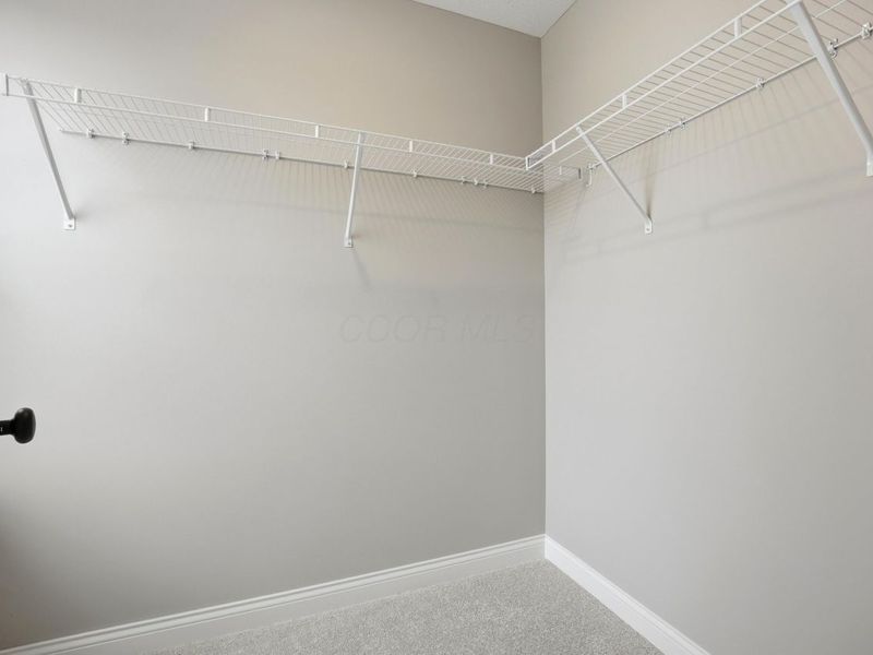 280 River Birch Drive, Galena, OH 43021 Photo 36