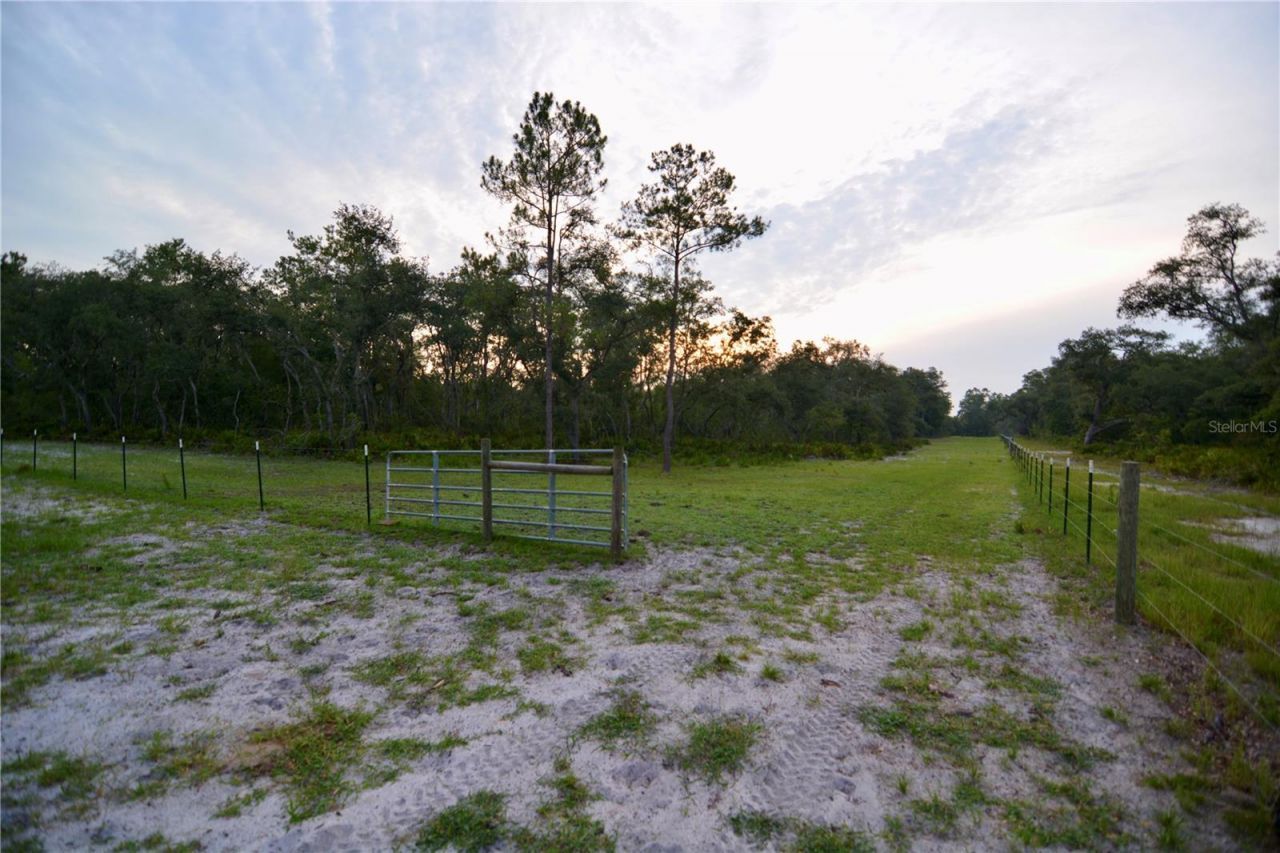 2669 NW Suwannee Valley Road, Lake City, FL 32055 Photo