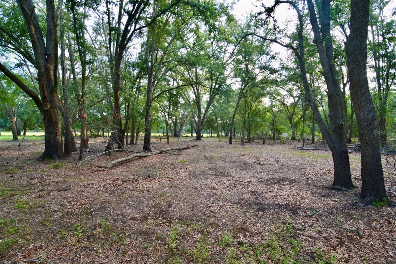 2669 NW Suwannee Valley Road, Lake City, FL 32055 Photo