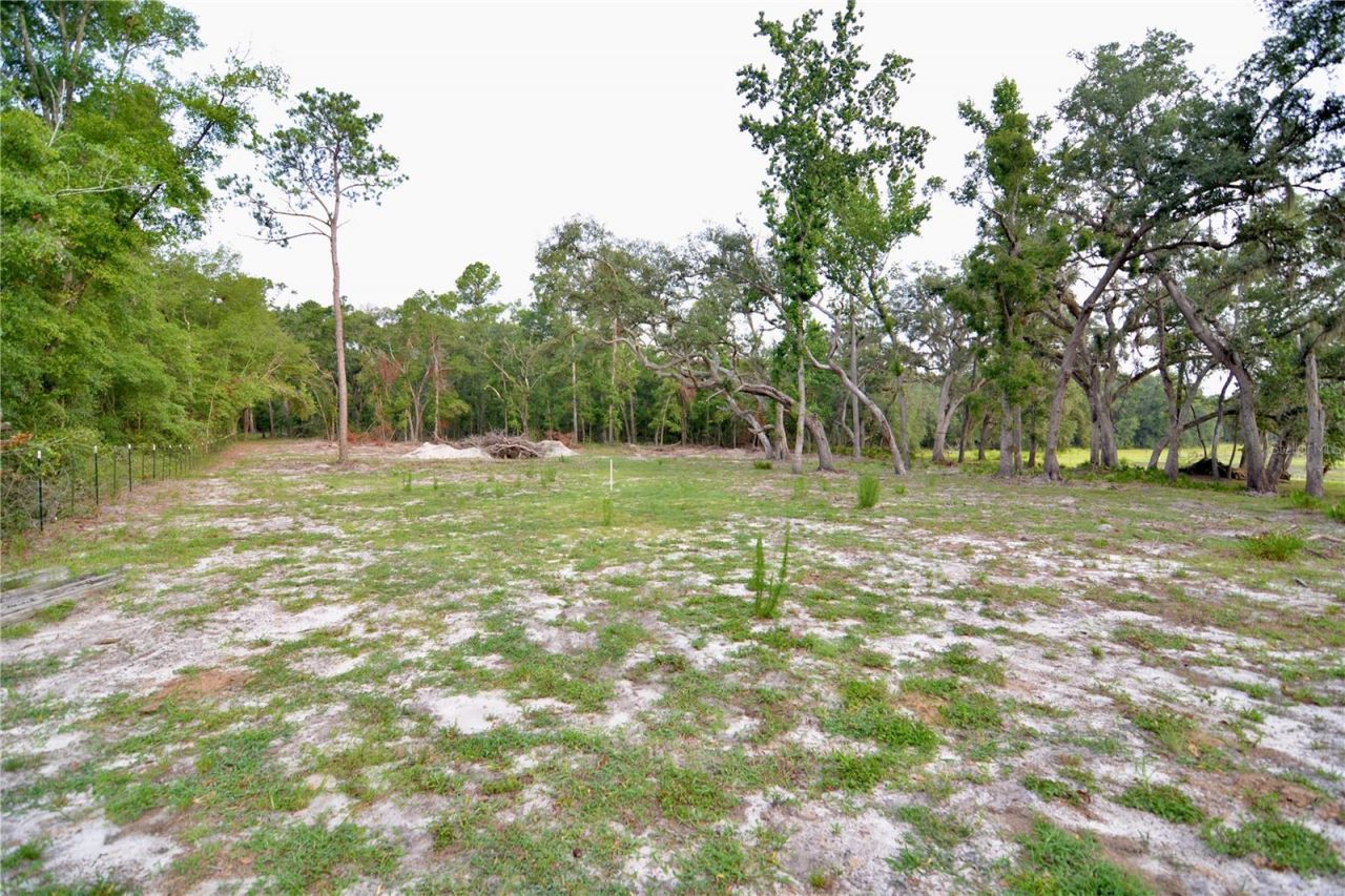 2669 NW Suwannee Valley Road, Lake City, FL 32055 Photo