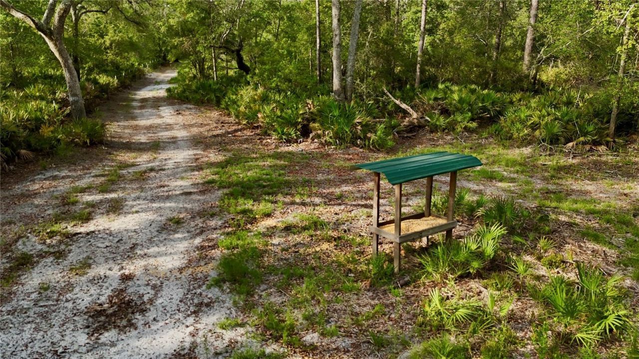 2669 NW Suwannee Valley Road, Lake City, FL 32055 Photo