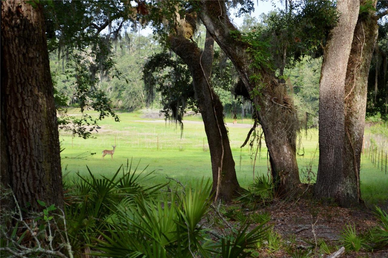 2669 NW Suwannee Valley Road, Lake City, FL 32055 Photo