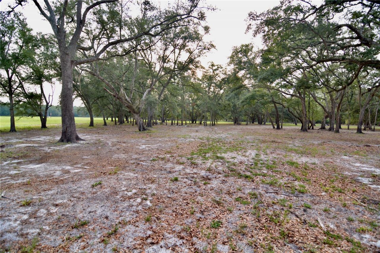 2669 NW Suwannee Valley Road, Lake City, FL 32055 Photo