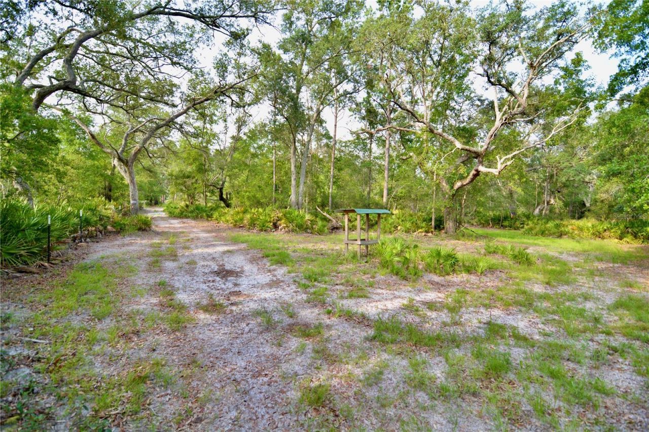 2669 NW Suwannee Valley Road, Lake City, FL 32055 Photo