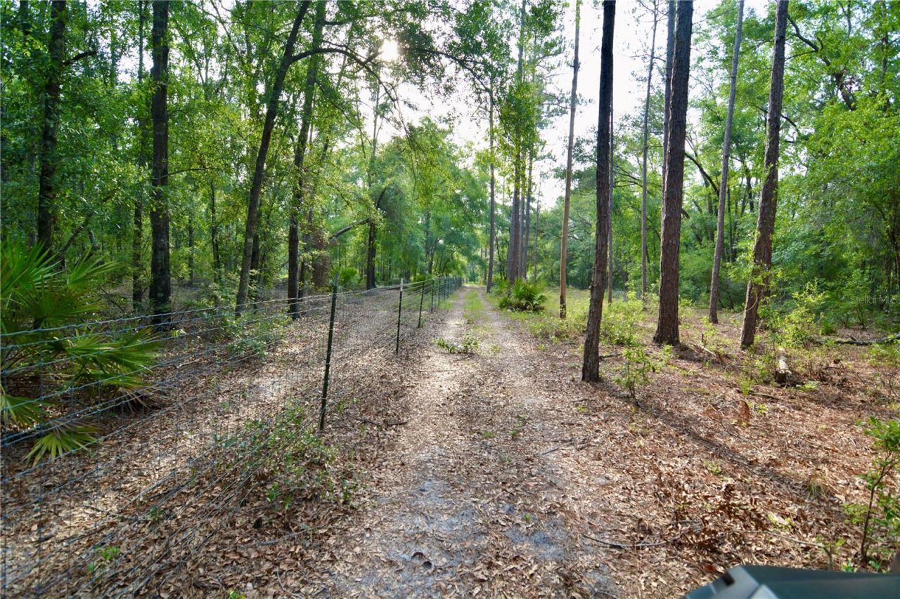 2669 NW Suwannee Valley Road, Lake City, FL 32055 Photo