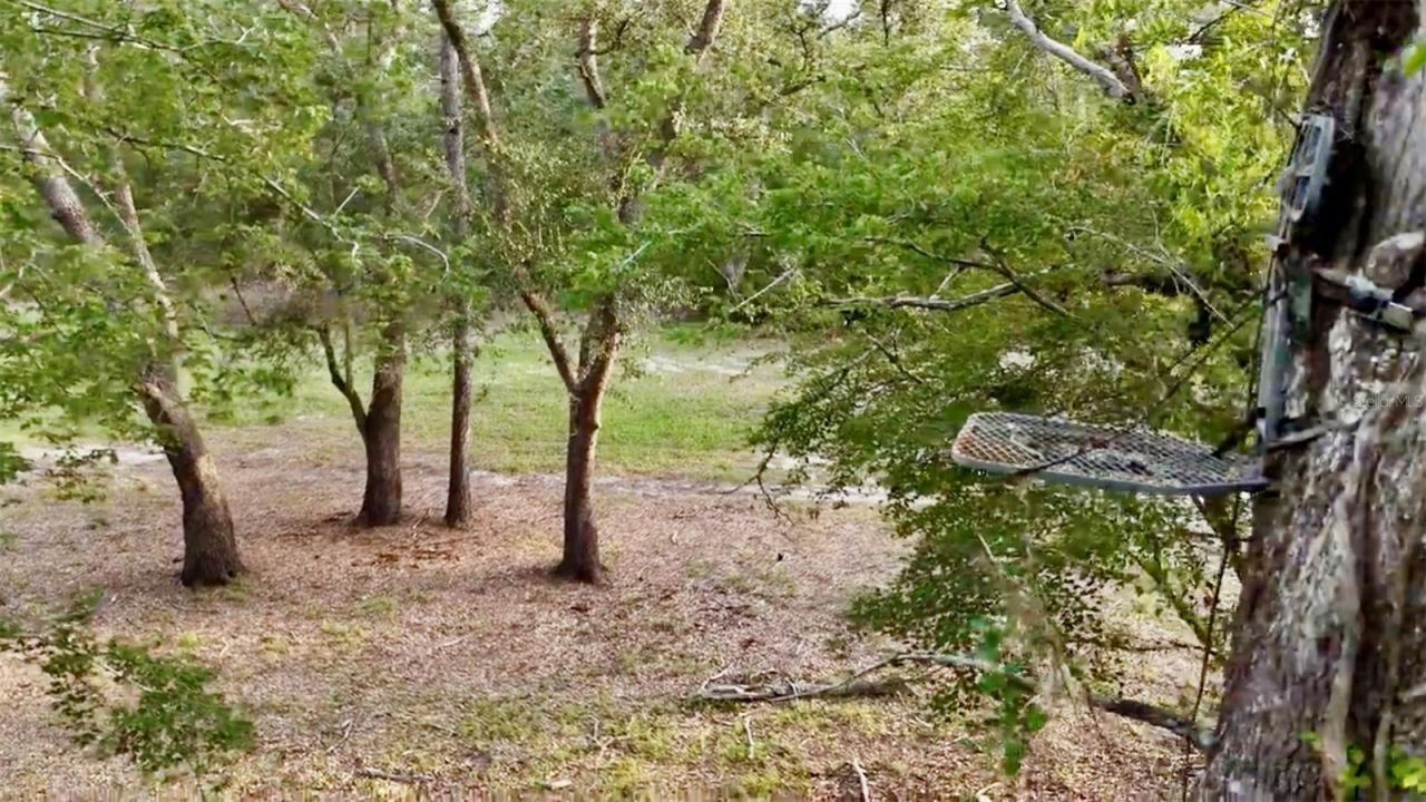 2669 NW Suwannee Valley Road, Lake City, FL 32055 Photo