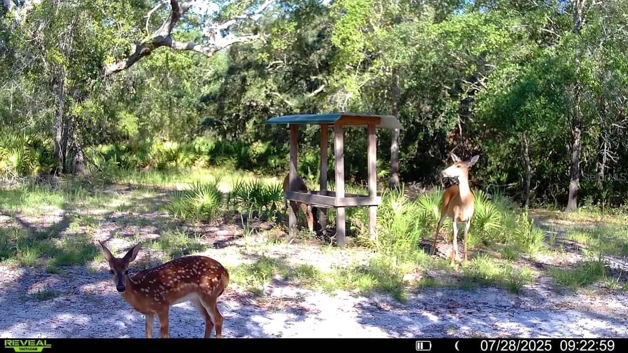 2669 NW Suwannee Valley Road, Lake City, FL 32055 Photo