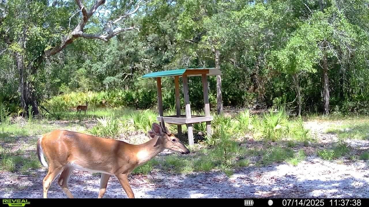 2669 NW Suwannee Valley Road, Lake City, FL 32055 Photo