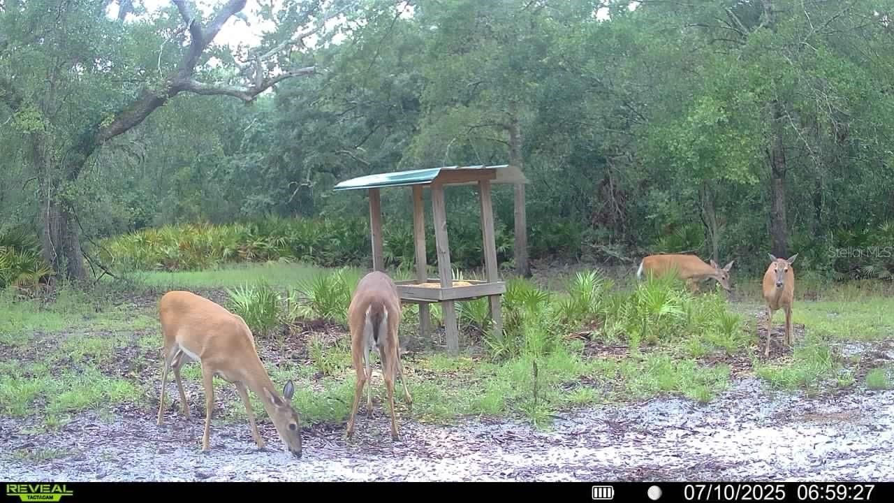 2669 NW Suwannee Valley Road, Lake City, FL 32055 Photo