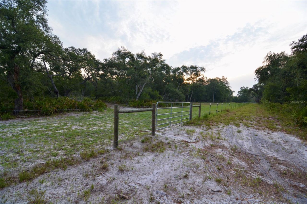 2669 NW Suwannee Valley Road, Lake City, FL 32055 Photo