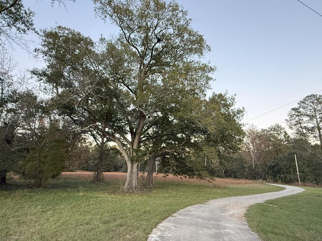 225 Frost Lane, Bude, MS 39630 Main Photo