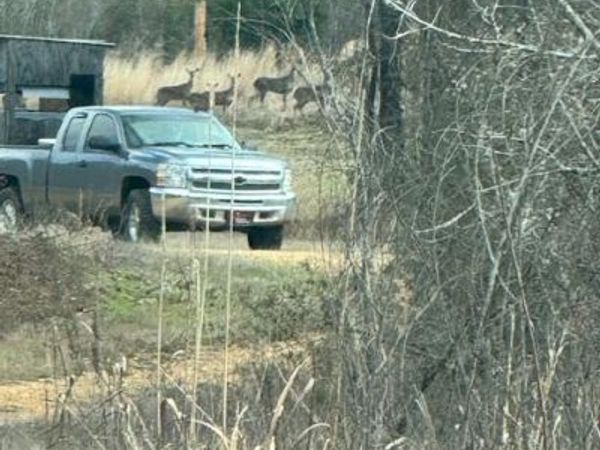 1111 Mount Olive Rd Se, Bogue Chitto, MS 39629