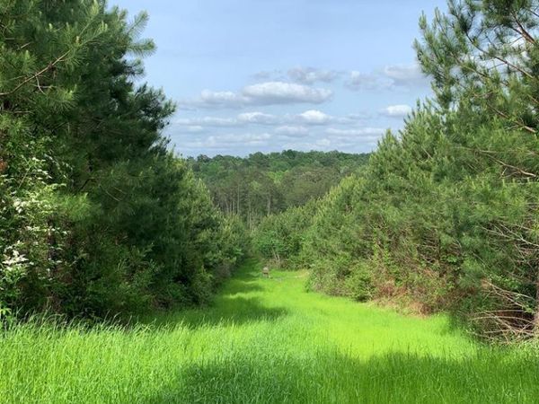 . Macedonia Road, Centreville, MS 39631