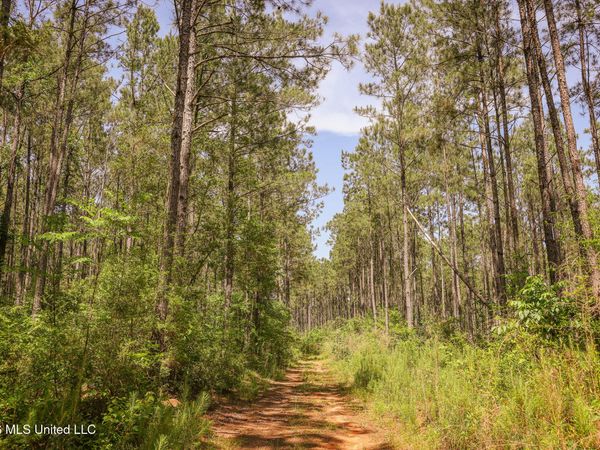 0 Graves Road, Liberty, MS 39645
